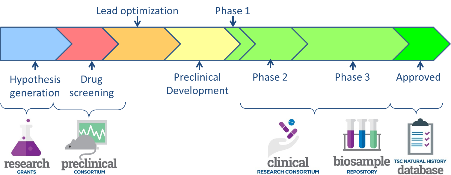 Preclinical Pathway preclinicalresearch - TSC Alliance