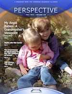 perspective-fall-2014-cover