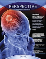 perspective-winter2011-cover